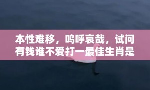 本性难移，呜呼哀哉，试问有钱谁不爱打一最佳生肖是什么、释义成语解释落实