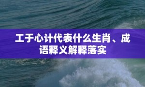 工于心计代表什么生肖、成语释义解释落实