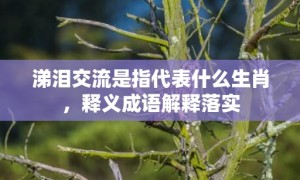 涕泪交流是指代表什么生肖，释义成语解释落实