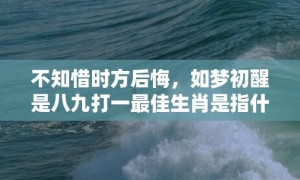 不知惜时方后悔，如梦初醒是八九打一最佳生肖是指什么成语解释落实