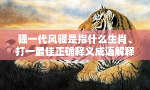 骚一代风骚是指什么生肖、打一最佳正确释义成语解释落实