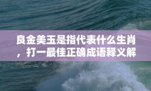 良金美玉是指代表什么生肖，打一最佳正确成语释义解释落实