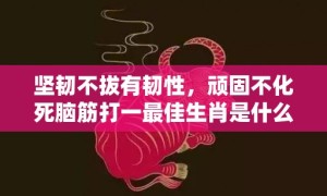 坚韧不拔有韧性，顽固不化死脑筋打一最佳生肖是什么成语解释落实