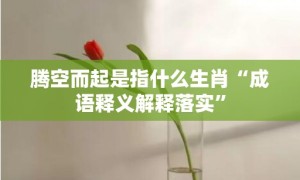 腾空而起是指什么生肖“成语释义解释落实”