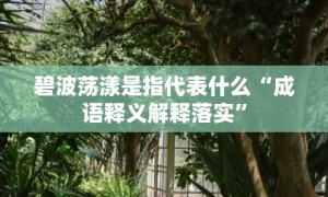 碧波荡漾是指代表什么“成语释义解释落实”