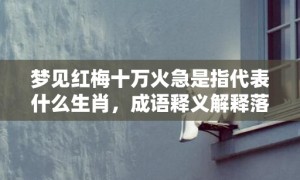 梦见红梅十万火急是指代表什么生肖，成语释义解释落实