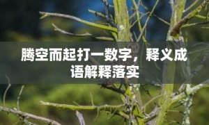 腾空而起打一数字，释义成语解释落实