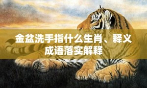 金盆洗手指什么生肖、释义成语落实解释