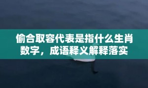 偷合取容代表是指什么生肖数字，成语释义解释落实