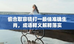 偷合取容猜打一最佳准确生肖，成语释义解释落实