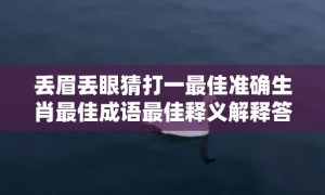 丢眉丢眼猜打一最佳准确生肖最佳成语最佳释义解释答