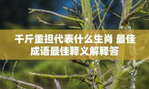 千斤重担代表什么生肖 最佳成语最佳释义解释答