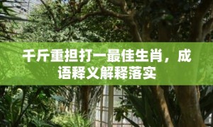 千斤重担打一最佳生肖，成语释义解释落实