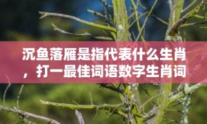 沉鱼落雁是指代表什么生肖，打一最佳词语数字生肖词典