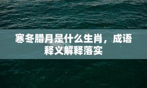 寒冬腊月是什么生肖，成语释义解释落实