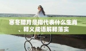 寒冬腊月是指代表什么生肖、释义成语解释落实