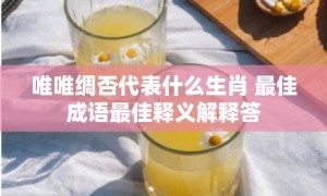 唯唯绸否代表什么生肖 最佳成语最佳释义解释答