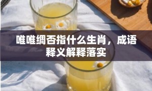 唯唯绸否指什么生肖，成语释义解释落实