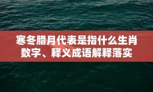 寒冬腊月代表是指什么生肖数字、释义成语解释落实