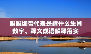 唯唯绸否代表是指什么生肖数字、释义成语解释落实