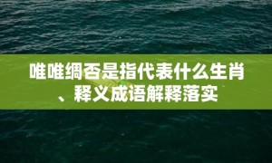 唯唯绸否是指代表什么生肖、释义成语解释落实