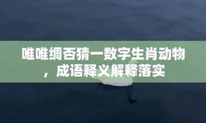 唯唯绸否猜一数字生肖动物，成语释义解释落实