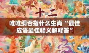 唯唯绸否指什么生肖“最佳成语最佳释义解释答”