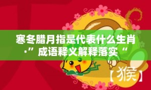 寒冬腊月指是代表什么生肖·”成语释义解释落实“