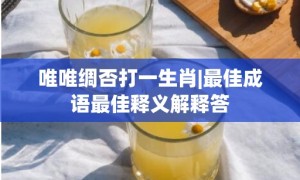 唯唯绸否打一生肖|最佳成语最佳释义解释答