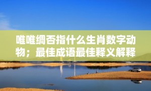 唯唯绸否指什么生肖数字动物；最佳成语最佳释义解释答