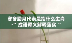 寒冬腊月代表是指什么生肖·”成语释义解释落实“