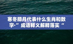 寒冬腊月代表什么生肖和数字·”成语释义解释落实“