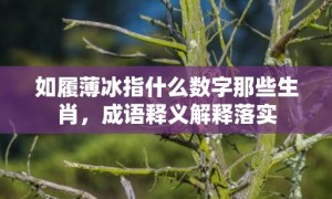 如履薄冰指什么数字那些生肖，成语释义解释落实