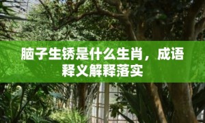 脑子生锈是什么生肖，成语释义解释落实