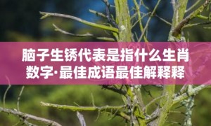 脑子生锈代表是指什么生肖数字·最佳成语最佳解释释义答