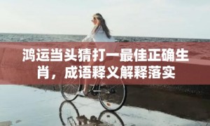 鸿运当头猜打一最佳正确生肖，成语释义解释落实