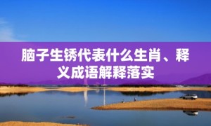 脑子生锈代表什么生肖、释义成语解释落实