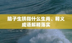 脑子生锈指什么生肖、释义成语解释落实