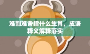 难割难舍指什么生肖，成语释义解释落实