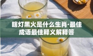 瞎灯黑火是什么生肖·最佳成语最佳释义解释答