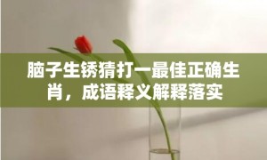 脑子生锈猜打一最佳正确生肖，成语释义解释落实