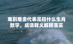 难割难舍代表是指什么生肖数字，成语释义解释落实