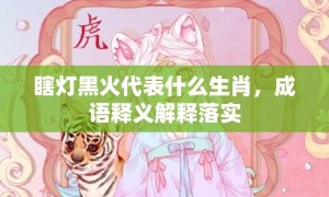 瞎灯黑火代表什么生肖，成语释义解释落实