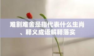 难割难舍是指代表什么生肖、释义成语解释落实