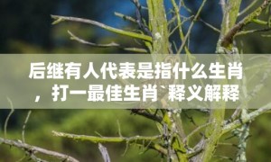 后继有人代表是指什么生肖，打一最佳生肖`释义解释成语落实