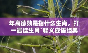 年高德勋是指什么生肖，打一最佳生肖`释义成语经典落实