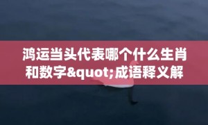 鸿运当头代表哪个什么生肖和数字"成语释义解释落实"