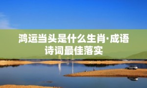 鸿运当头是什么生肖·成语诗词最佳落实