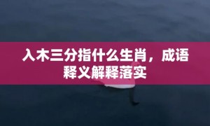 入木三分指什么生肖，成语释义解释落实