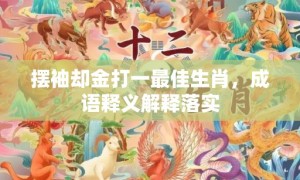 摆袖却金打一最佳生肖，成语释义解释落实